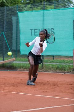 Noma Noha Akugue 244 - Klippeldon